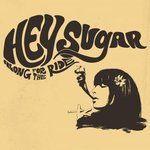Square_hey_sugar_-_along_for_the_ride_cover