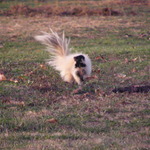 Square_pc280070